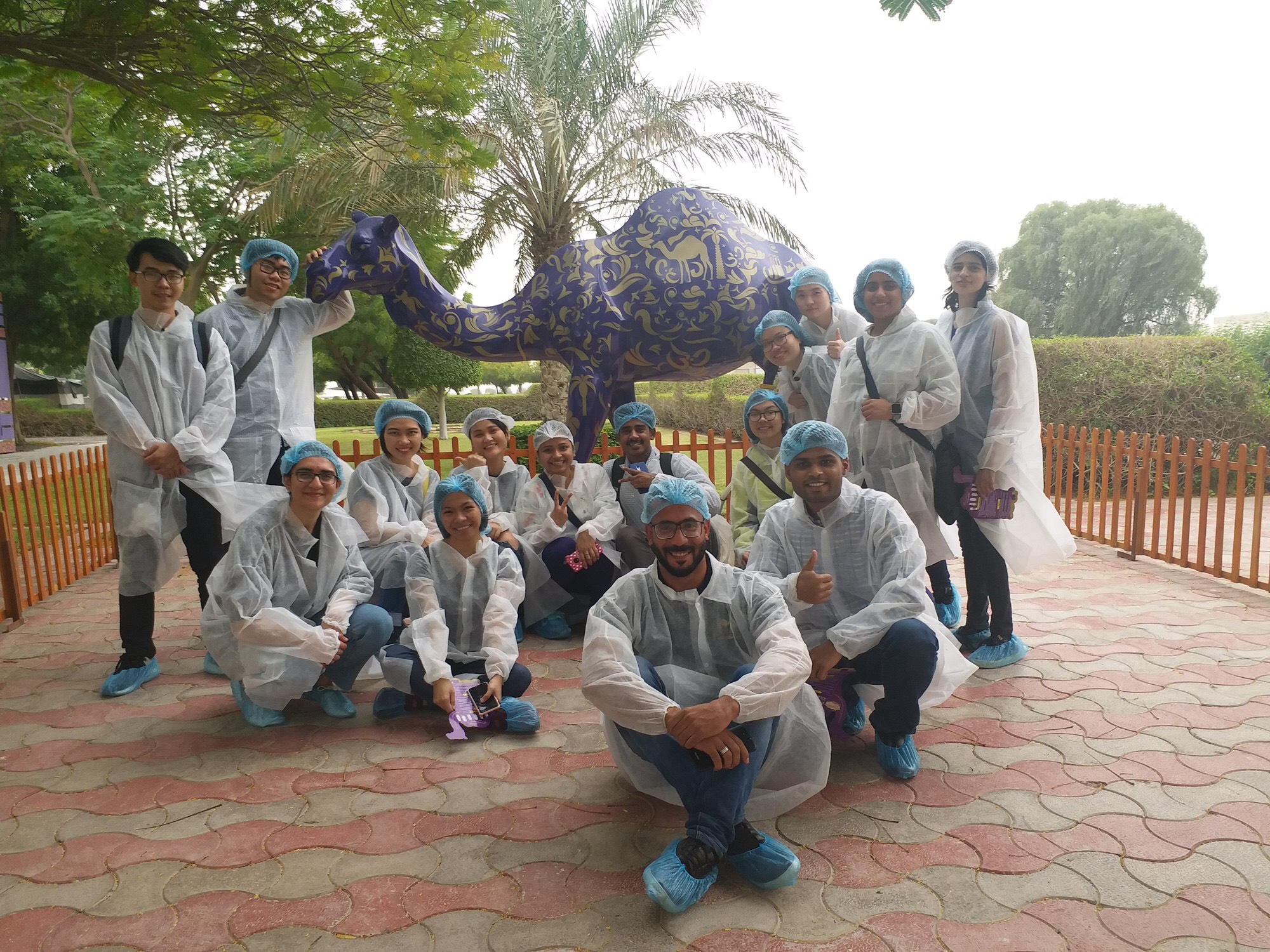 Visit to Camelicious Farm in Dubai 